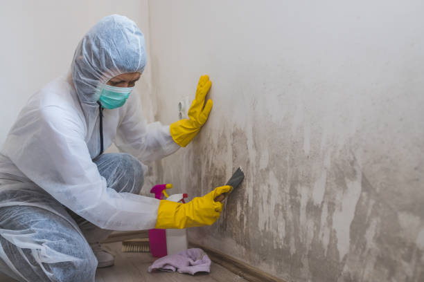 Trusted Goodlettsville, TN Mold Remediation Experts