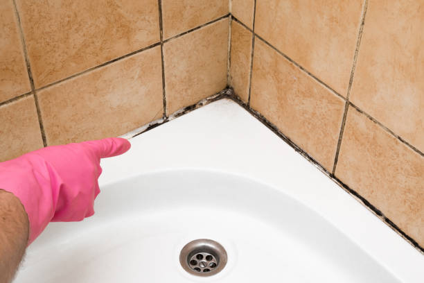 Best Bathroom Mold Remediation in Goodlettsville, TN